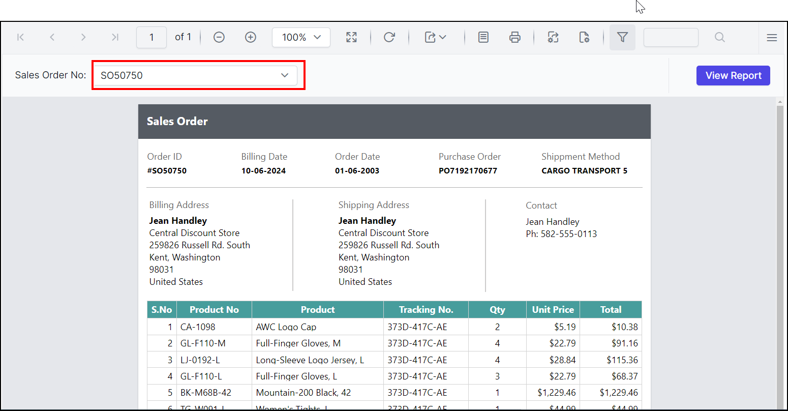 Preview of date time format in date parameter in Report Viewer