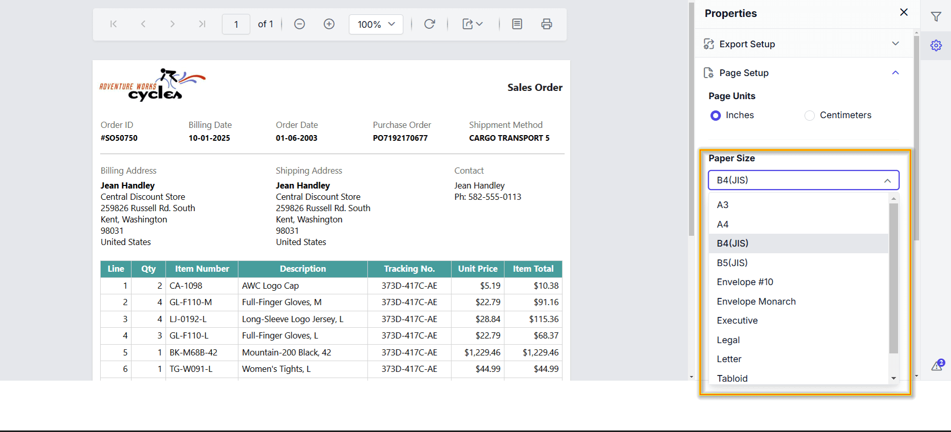 Preview of Paper Sizes in Report Viewer