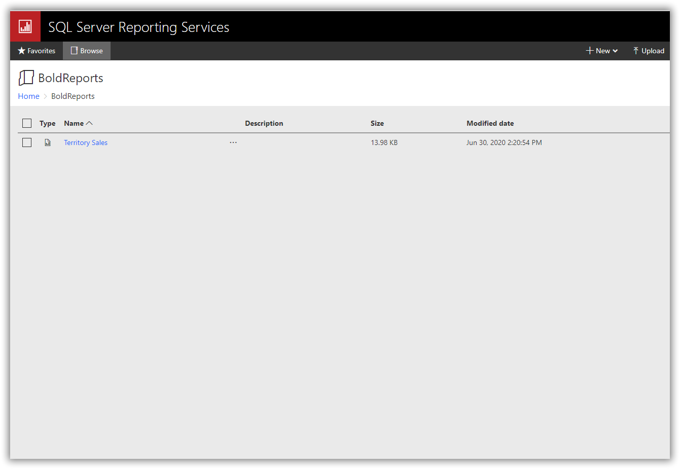 SSRS report server report path