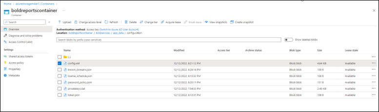 Bold reports Container