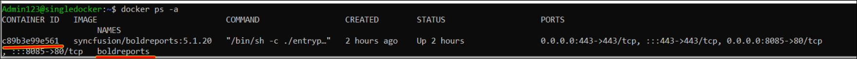 Deploy in Single Container