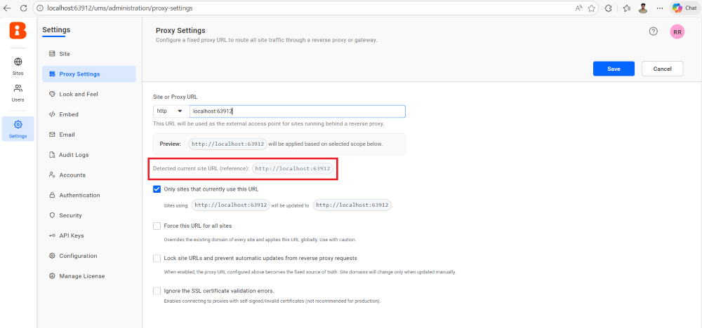 Detected Current Site URL