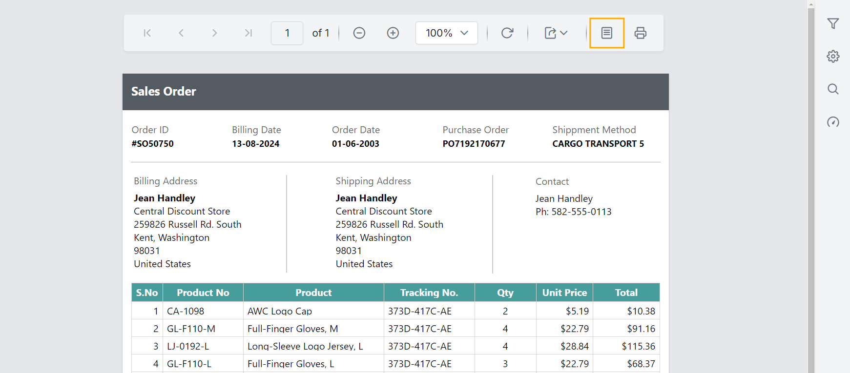 Preview of print layout button in Report Viewer