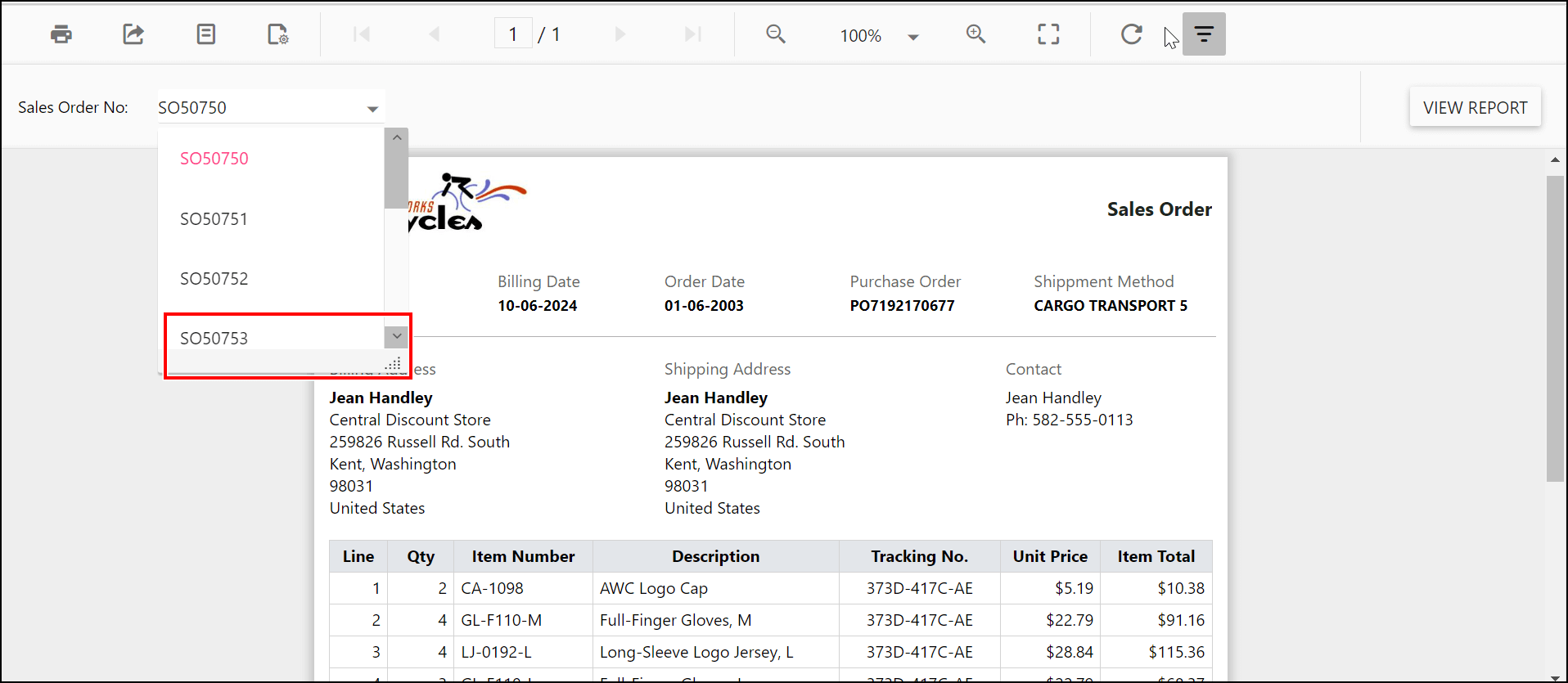 Preview of enable popup resize in parameter in Report Viewer